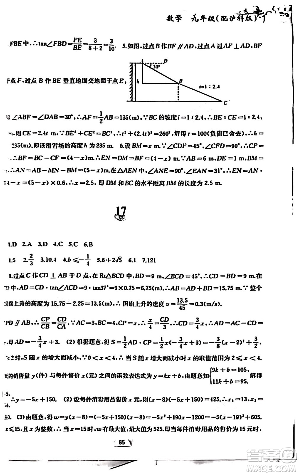 黃山書社2024寒假作業(yè)九年級數(shù)學滬科版答案