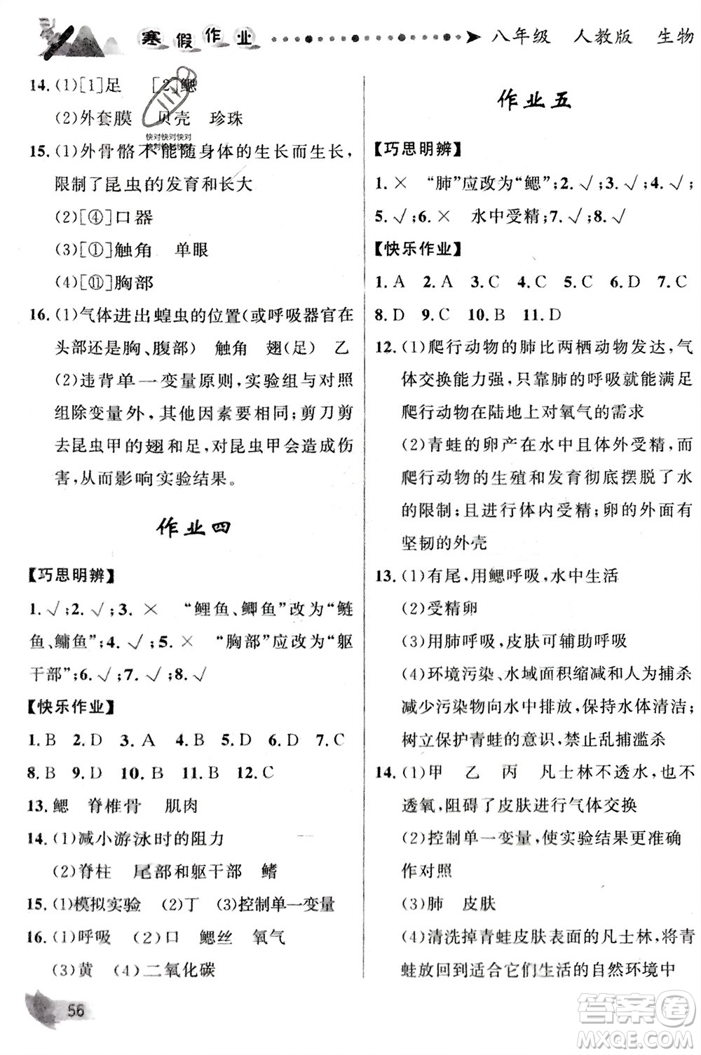 甘肅少年兒童出版社2024寒假作業(yè)八年級生物人教版參考答案