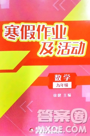 新疆文化出版社2024寒假作業(yè)及活動(dòng)九年級(jí)數(shù)學(xué)通用版參考答案