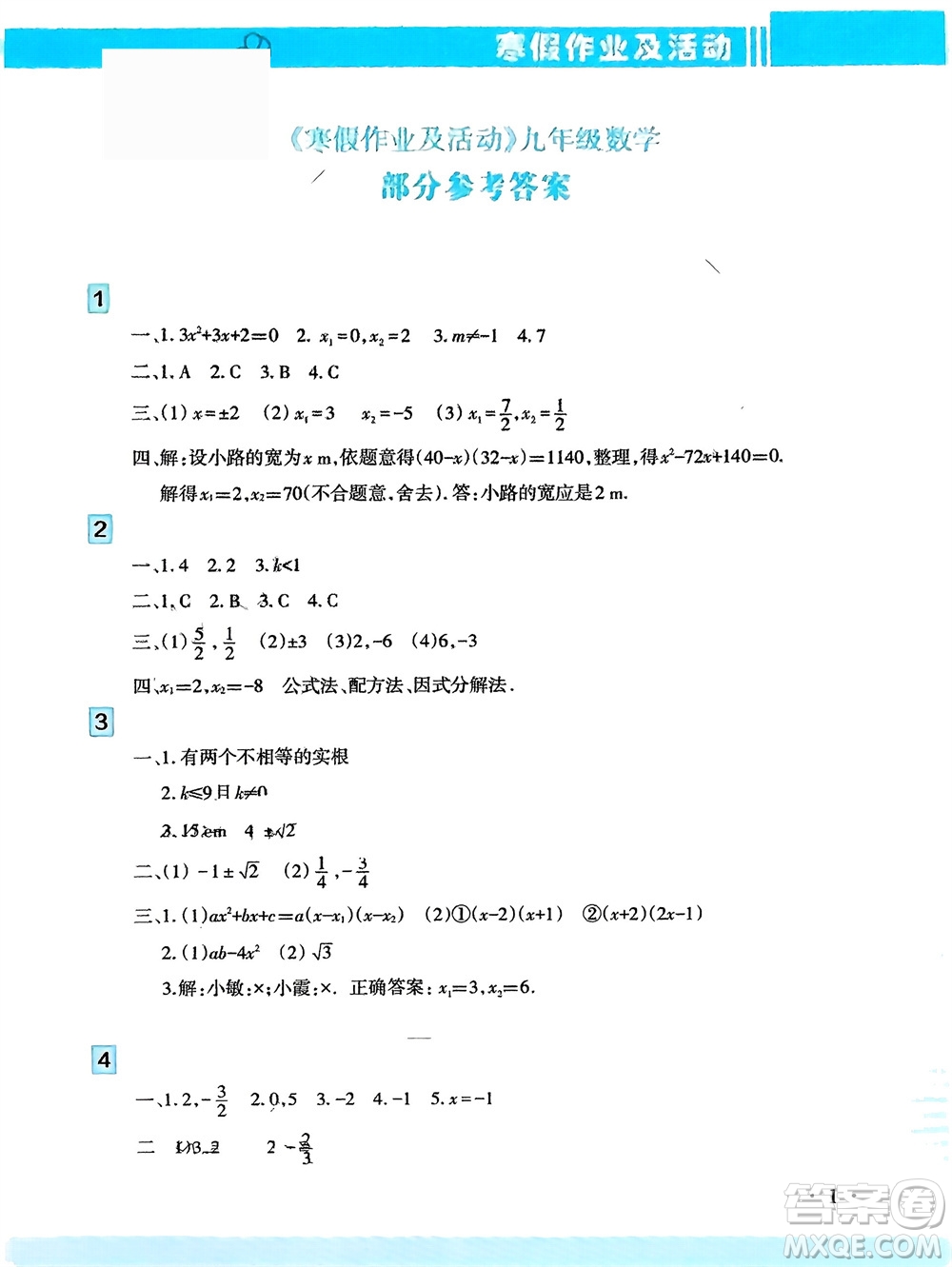 新疆文化出版社2024寒假作業(yè)及活動(dòng)九年級(jí)數(shù)學(xué)通用版參考答案