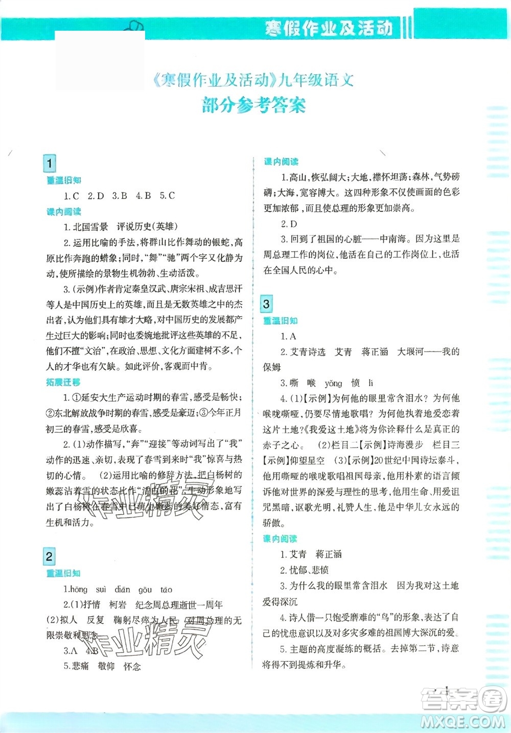 新疆文化出版社2024寒假作業(yè)及活動(dòng)九年級語文通用版參考答案