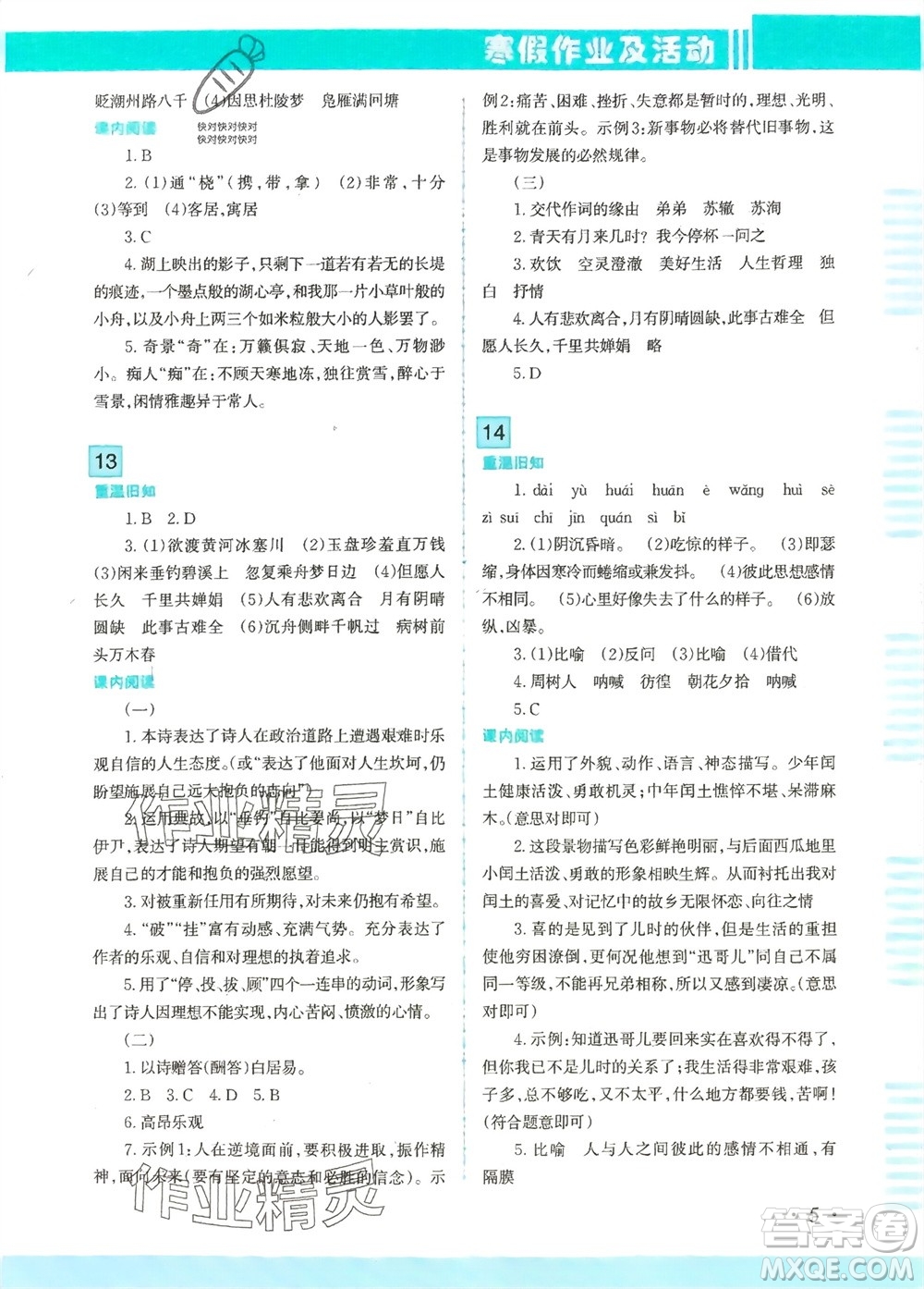 新疆文化出版社2024寒假作業(yè)及活動(dòng)九年級語文通用版參考答案