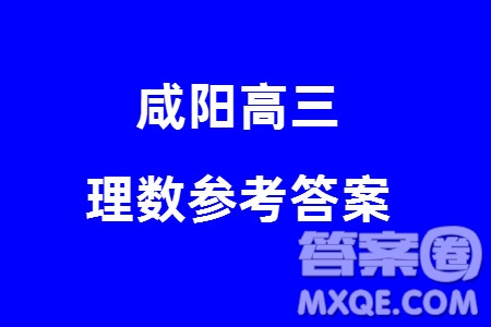 咸陽市2024屆高三上學期1月份高考模擬檢測一理科數(shù)學參考答案