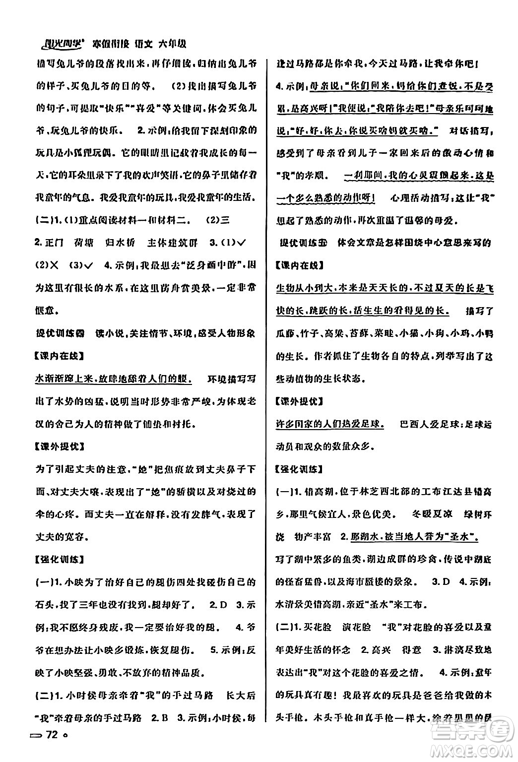 江西教育出版社2024陽光同學(xué)寒假銜接六年級(jí)語文通用版答案