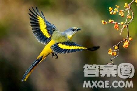 逆風(fēng)也很美為題作文600字 關(guān)于逆風(fēng)也很美為題目的作文600字