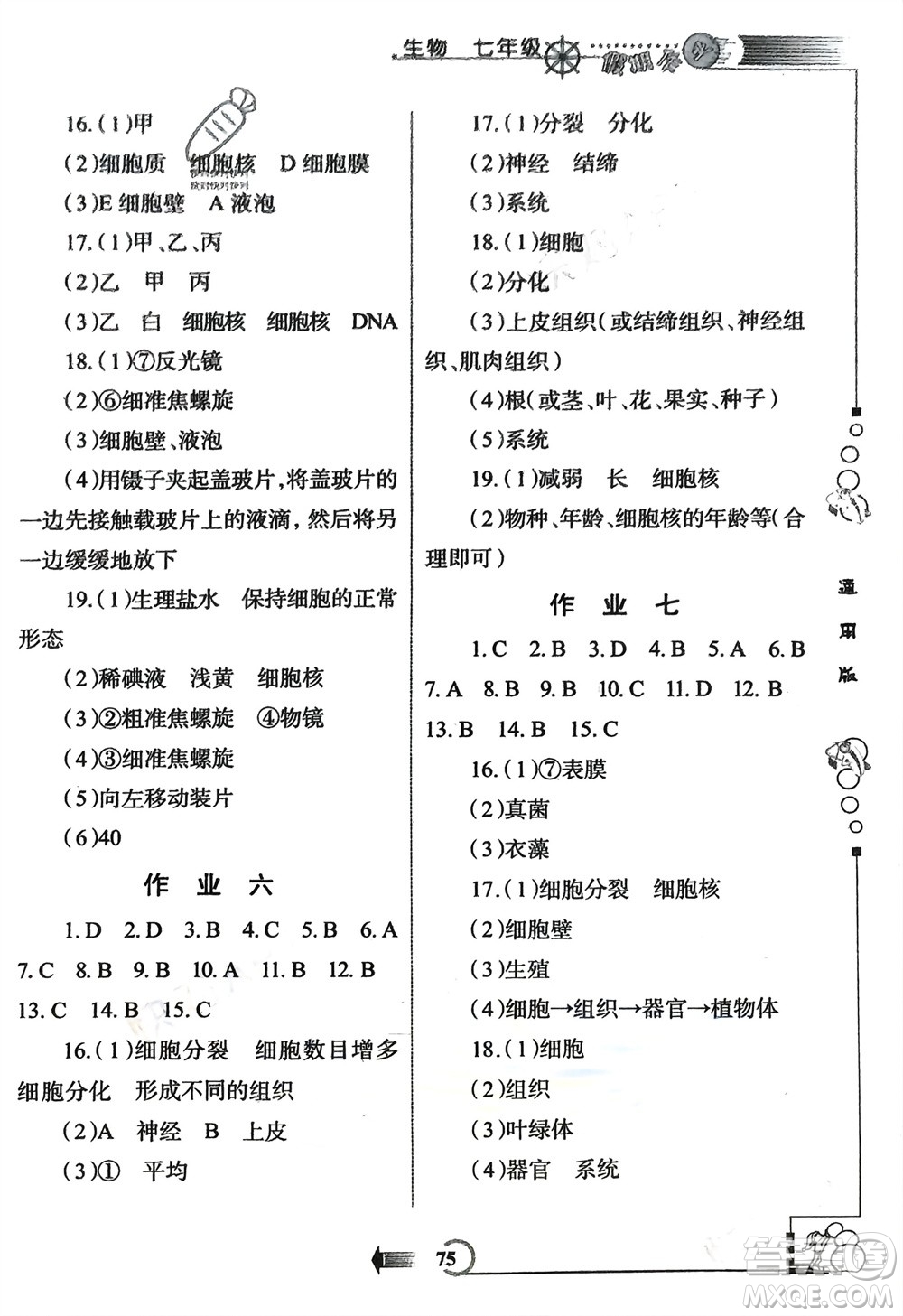 西安出版社2024假期作業(yè)寒假七年級生物通用版參考答案