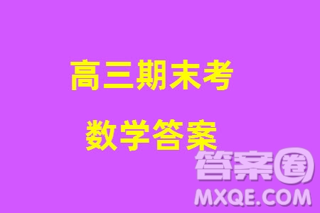 河南省2023-2024學(xué)年高三上學(xué)期期末檢測(cè)數(shù)學(xué)參考答案