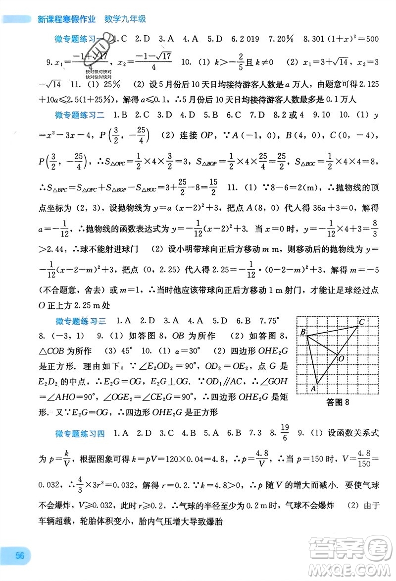 廣西教育出版社2024新課程寒假作業(yè)九年級數(shù)學通用版參考答案