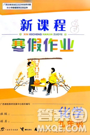 廣西教育出版社2024新課程寒假作業(yè)九年級化學(xué)通用版參考答案