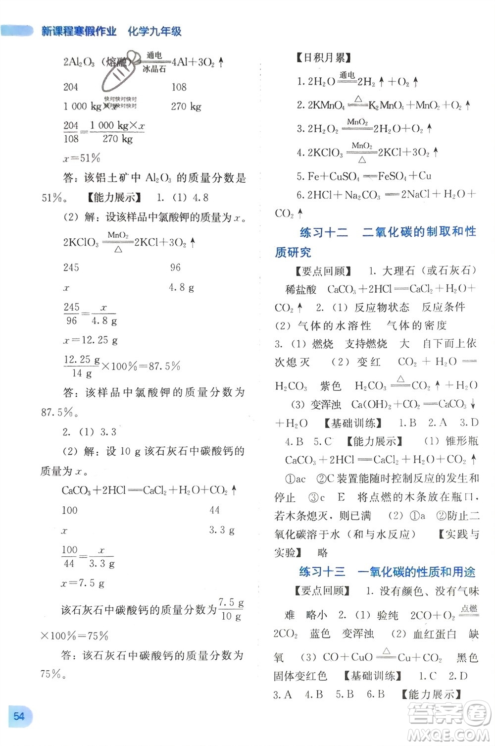 廣西教育出版社2024新課程寒假作業(yè)九年級化學(xué)通用版參考答案
