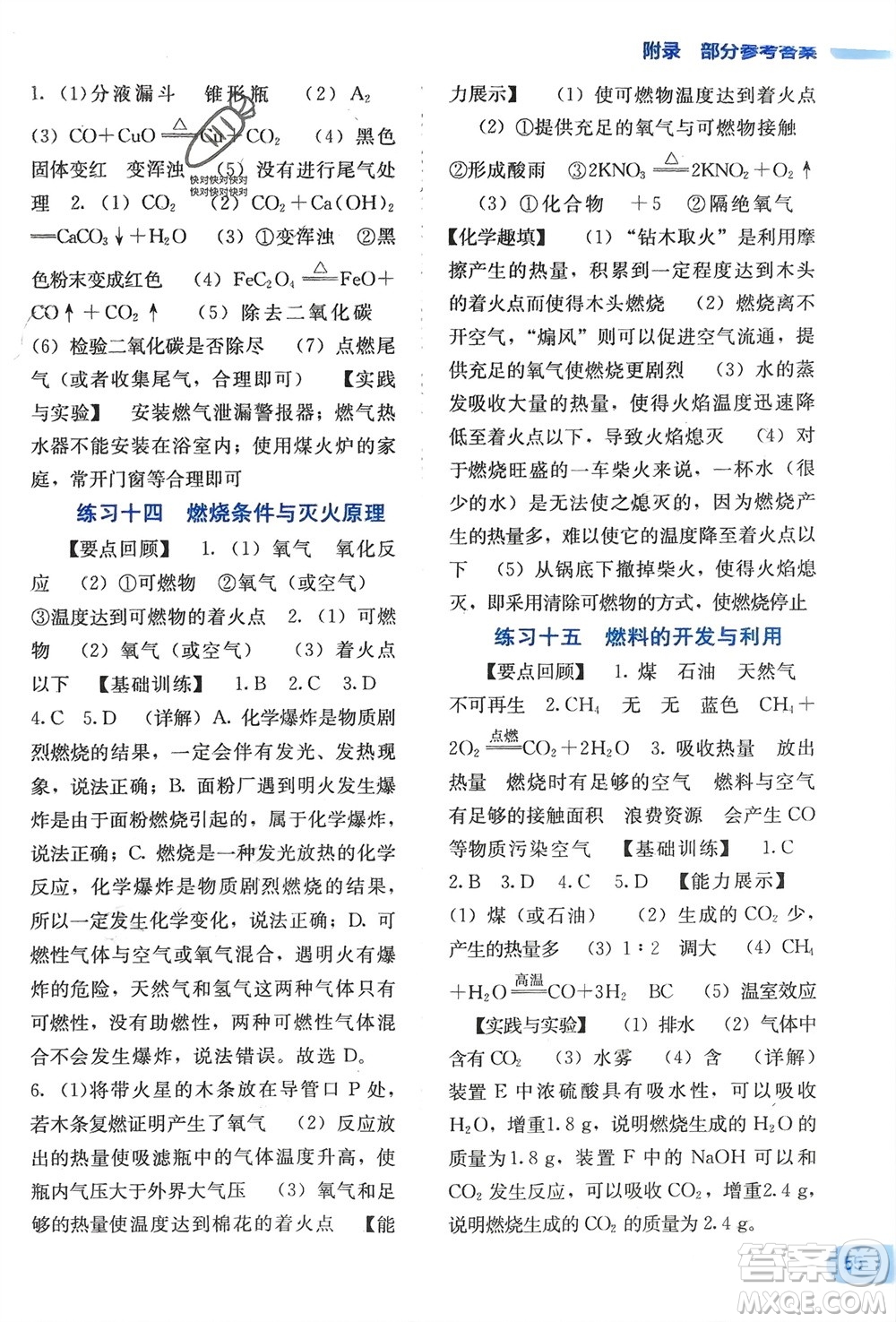 廣西教育出版社2024新課程寒假作業(yè)九年級化學(xué)通用版參考答案