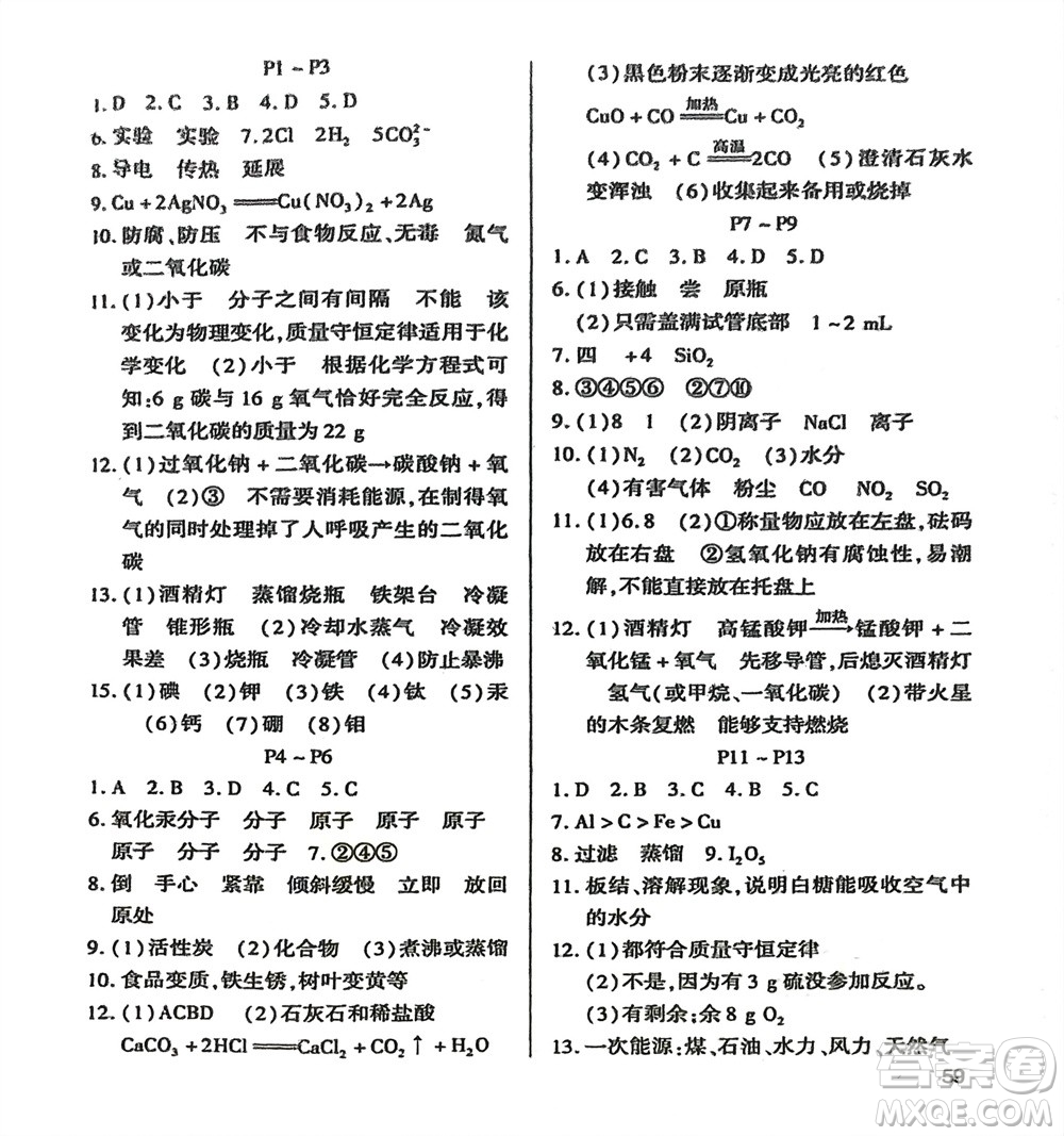 世界圖書出版公司2024假期學(xué)習(xí)樂(lè)園寒假作業(yè)九年級(jí)化學(xué)通用版參考答案