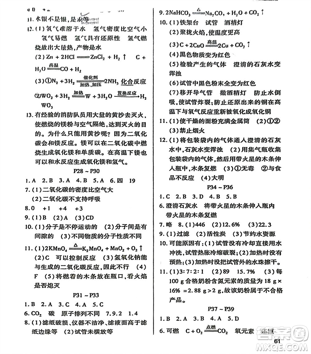 世界圖書出版公司2024假期學(xué)習(xí)樂(lè)園寒假作業(yè)九年級(jí)化學(xué)通用版參考答案