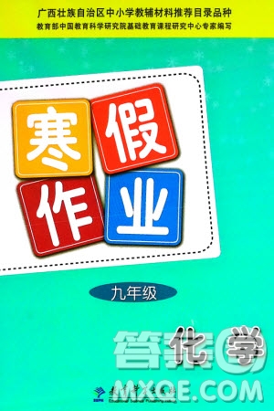 教育科學(xué)出版社2024寒假作業(yè)九年級(jí)化學(xué)通用版參考答案