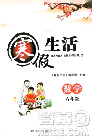 河北少年兒童出版社2024寒假生活六年級(jí)數(shù)學(xué)通用版參考答案