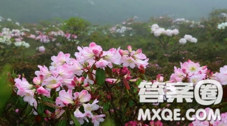我心中的春天400字五年級作文 關(guān)于我心中的春天的400字五年級作文