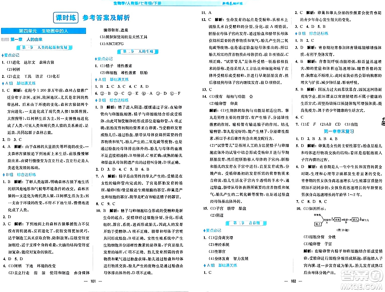 安徽教育出版社2024年春新編基礎(chǔ)訓(xùn)練七年級(jí)生物下冊(cè)人教版安徽專版答案