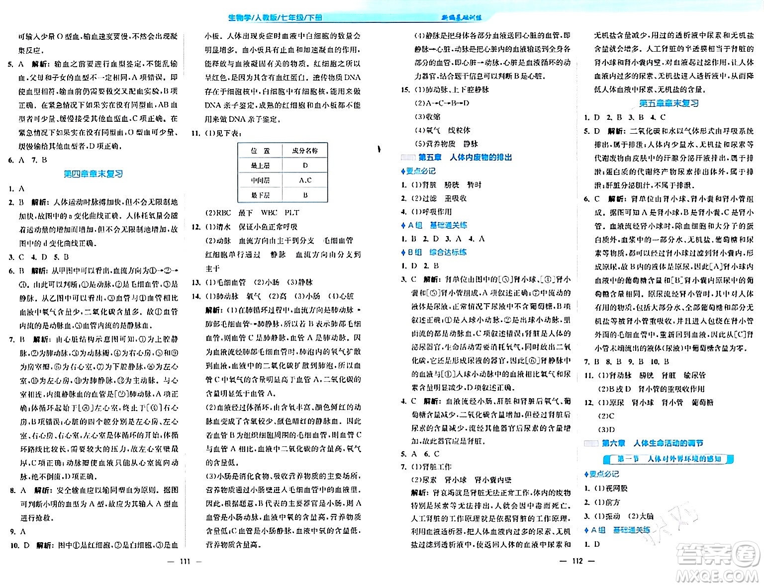 安徽教育出版社2024年春新編基礎(chǔ)訓(xùn)練七年級(jí)生物下冊(cè)人教版安徽專版答案