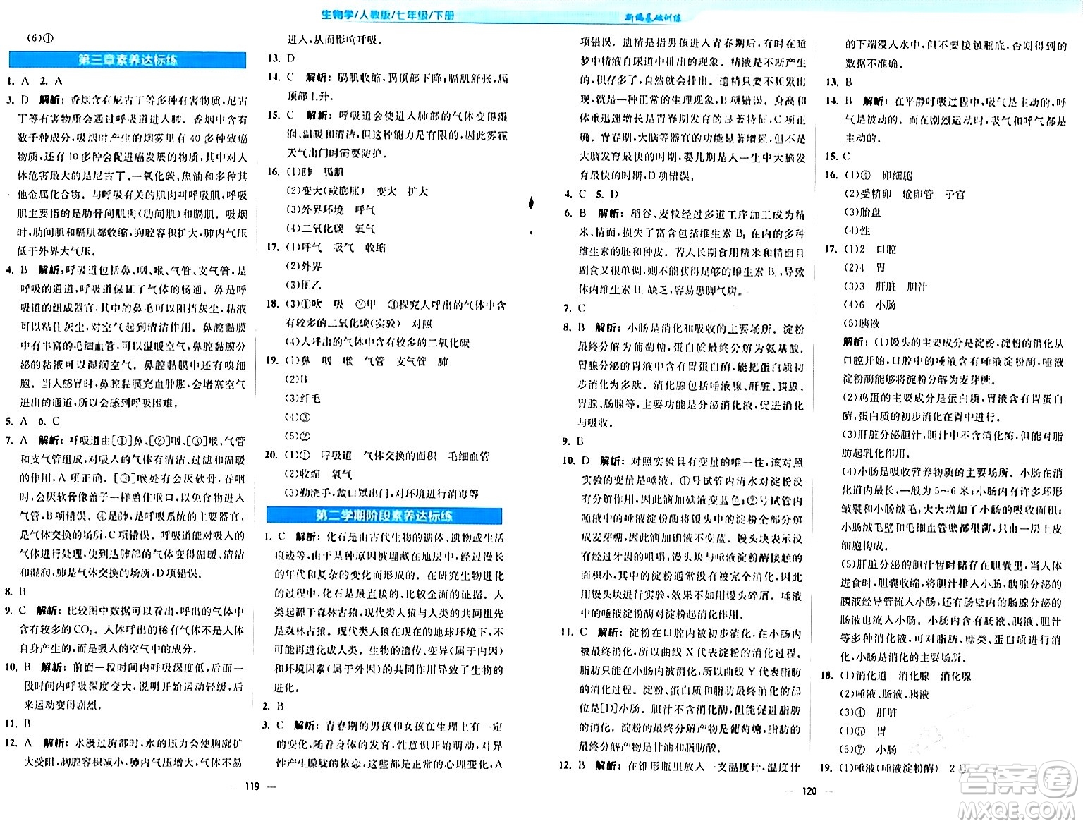 安徽教育出版社2024年春新編基礎(chǔ)訓(xùn)練七年級(jí)生物下冊(cè)人教版安徽專版答案
