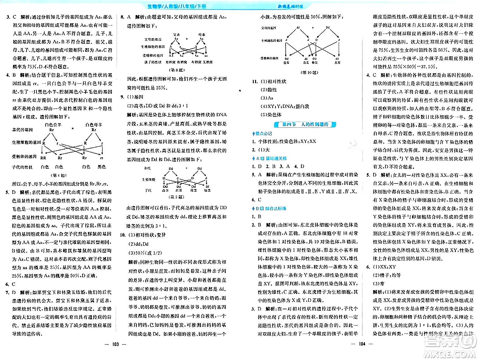 安徽教育出版社2024年春新編基礎(chǔ)訓(xùn)練八年級(jí)生物下冊(cè)人教版答案