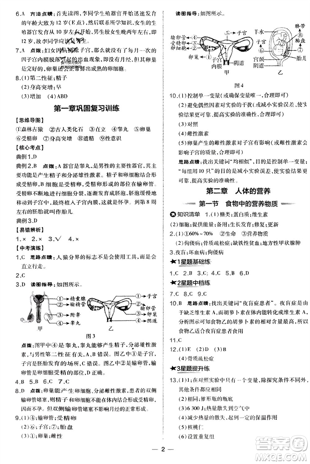吉林教育出版社2024年春榮德基點(diǎn)撥訓(xùn)練七年級(jí)生物下冊(cè)人教版參考答案