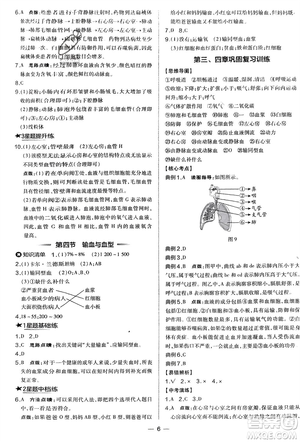 吉林教育出版社2024年春榮德基點(diǎn)撥訓(xùn)練七年級(jí)生物下冊(cè)人教版參考答案