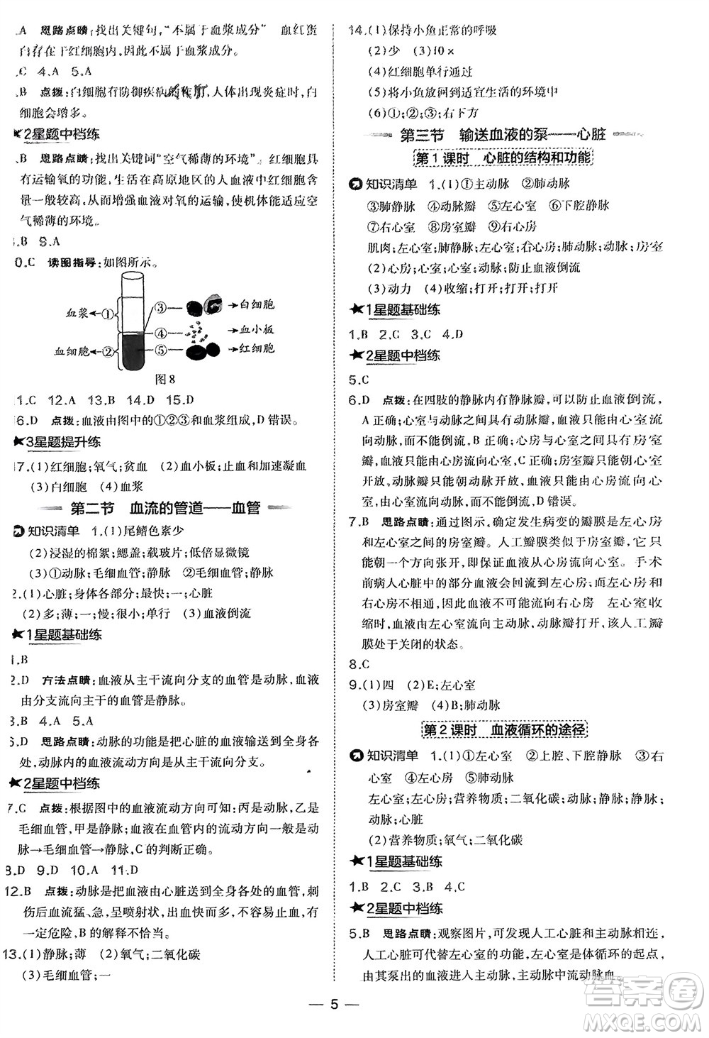 吉林教育出版社2024年春榮德基點(diǎn)撥訓(xùn)練七年級(jí)生物下冊(cè)人教版參考答案