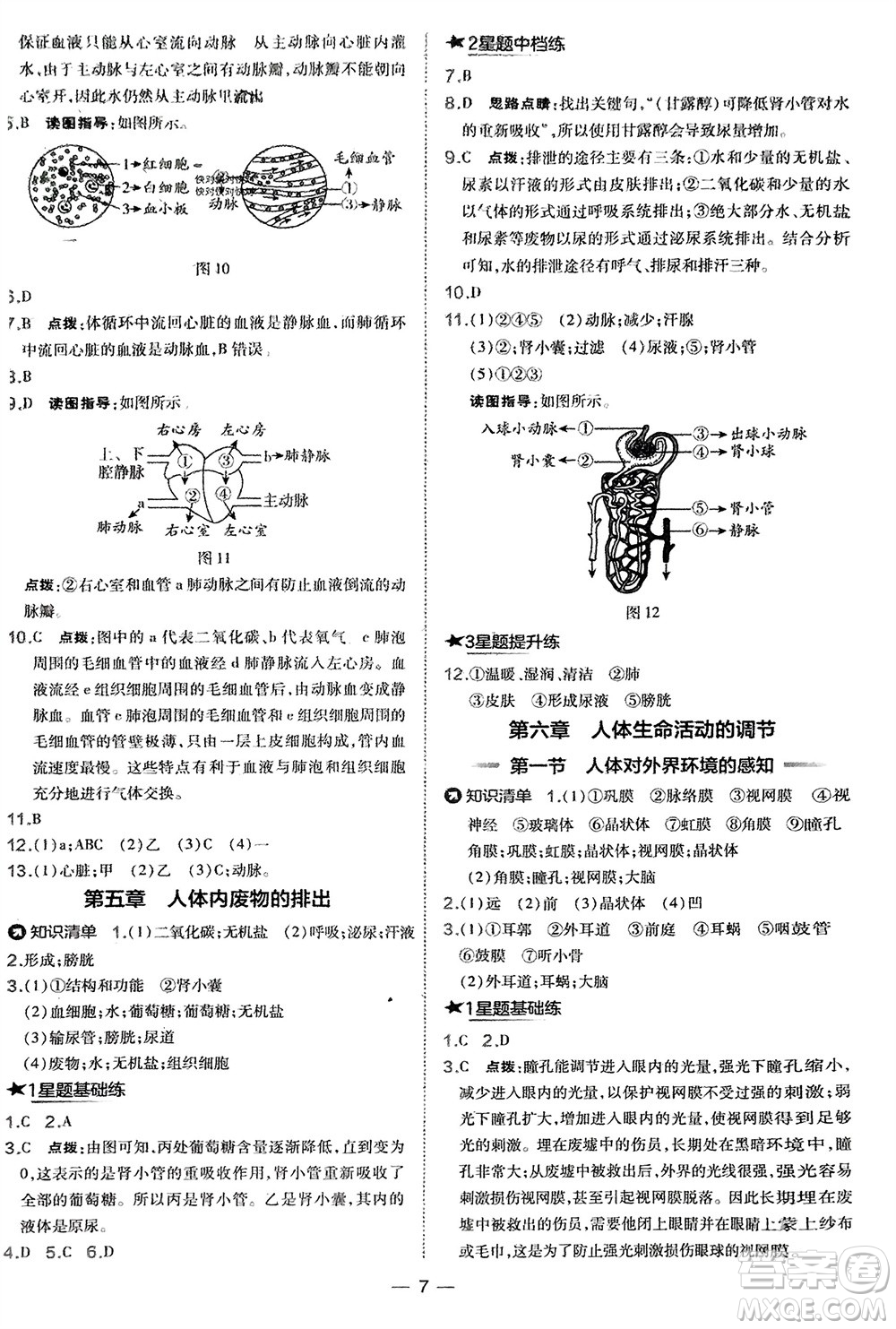 吉林教育出版社2024年春榮德基點(diǎn)撥訓(xùn)練七年級(jí)生物下冊(cè)人教版參考答案