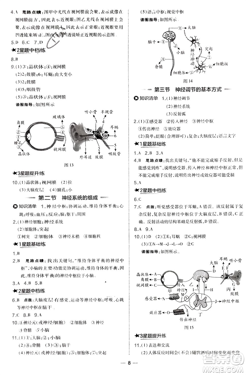吉林教育出版社2024年春榮德基點(diǎn)撥訓(xùn)練七年級(jí)生物下冊(cè)人教版參考答案