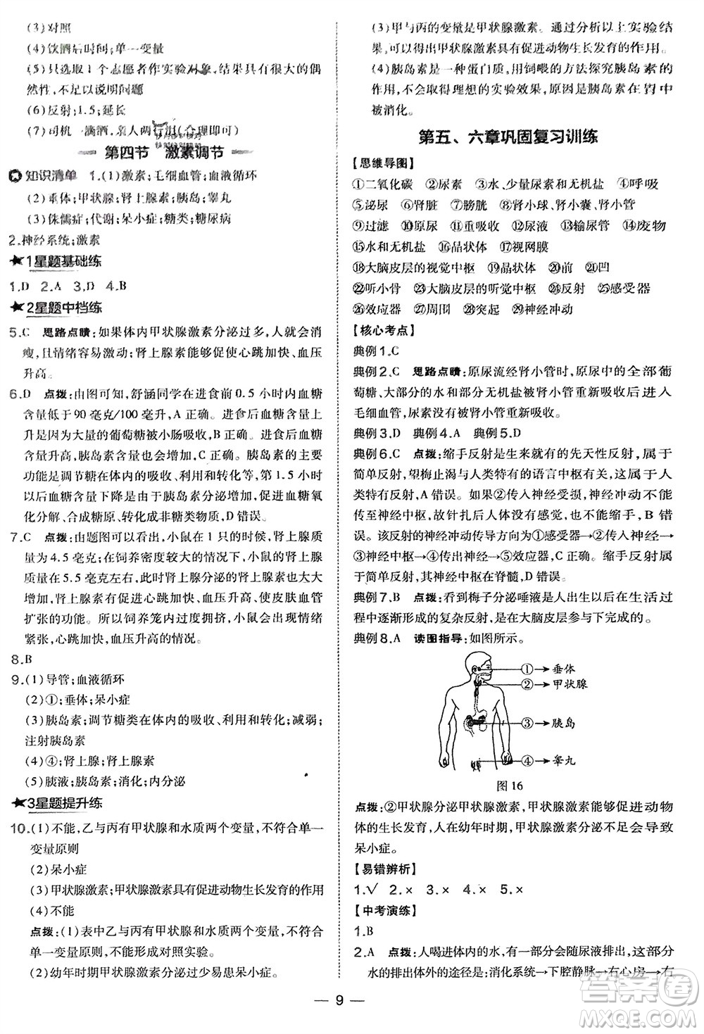 吉林教育出版社2024年春榮德基點(diǎn)撥訓(xùn)練七年級(jí)生物下冊(cè)人教版參考答案