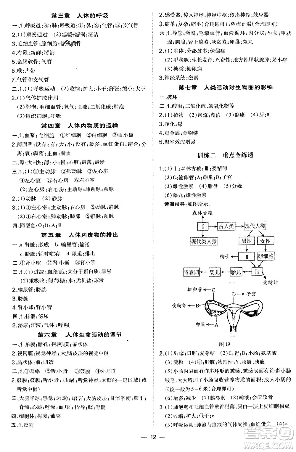 吉林教育出版社2024年春榮德基點(diǎn)撥訓(xùn)練七年級(jí)生物下冊(cè)人教版參考答案