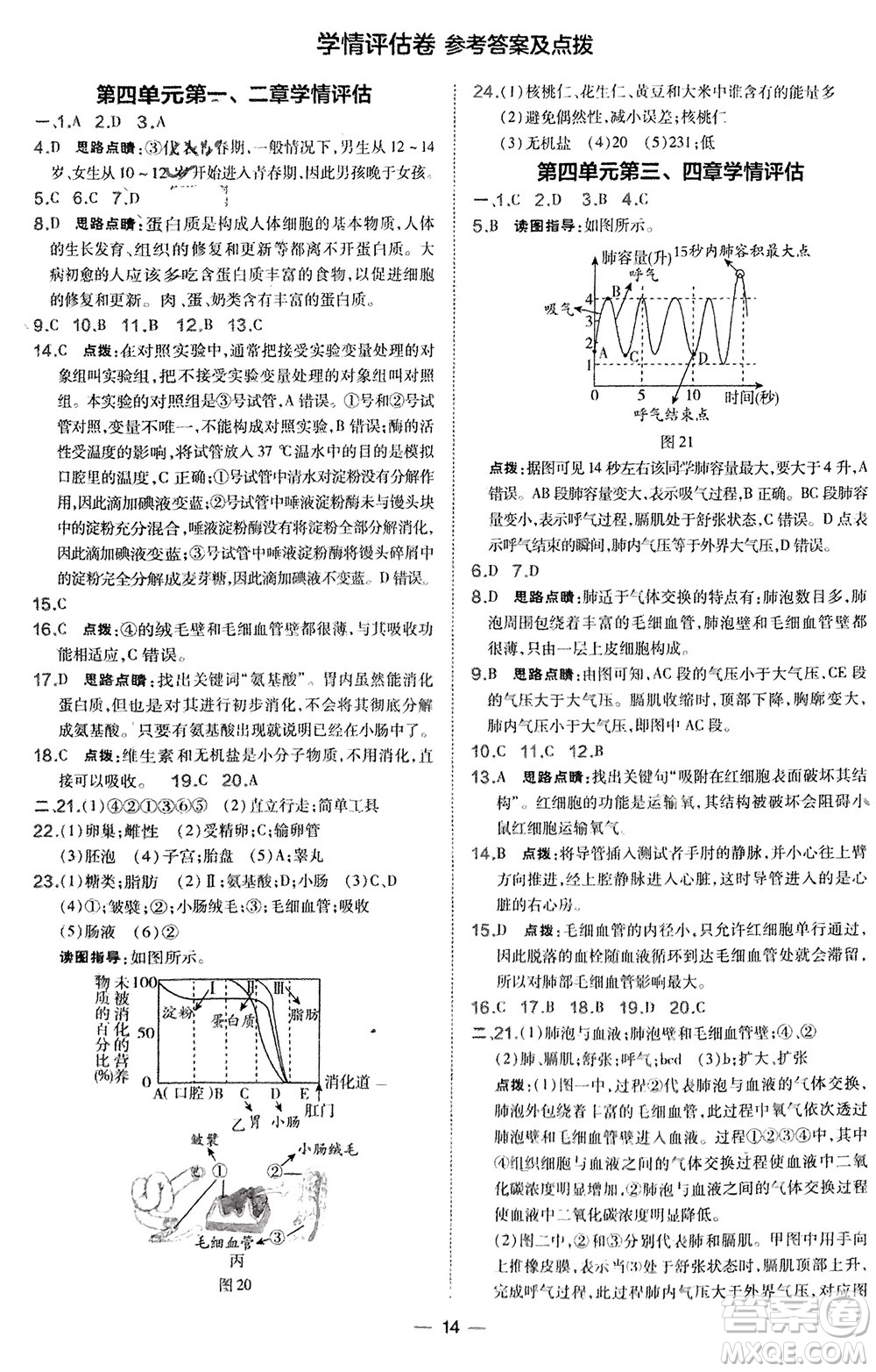 吉林教育出版社2024年春榮德基點(diǎn)撥訓(xùn)練七年級(jí)生物下冊(cè)人教版參考答案