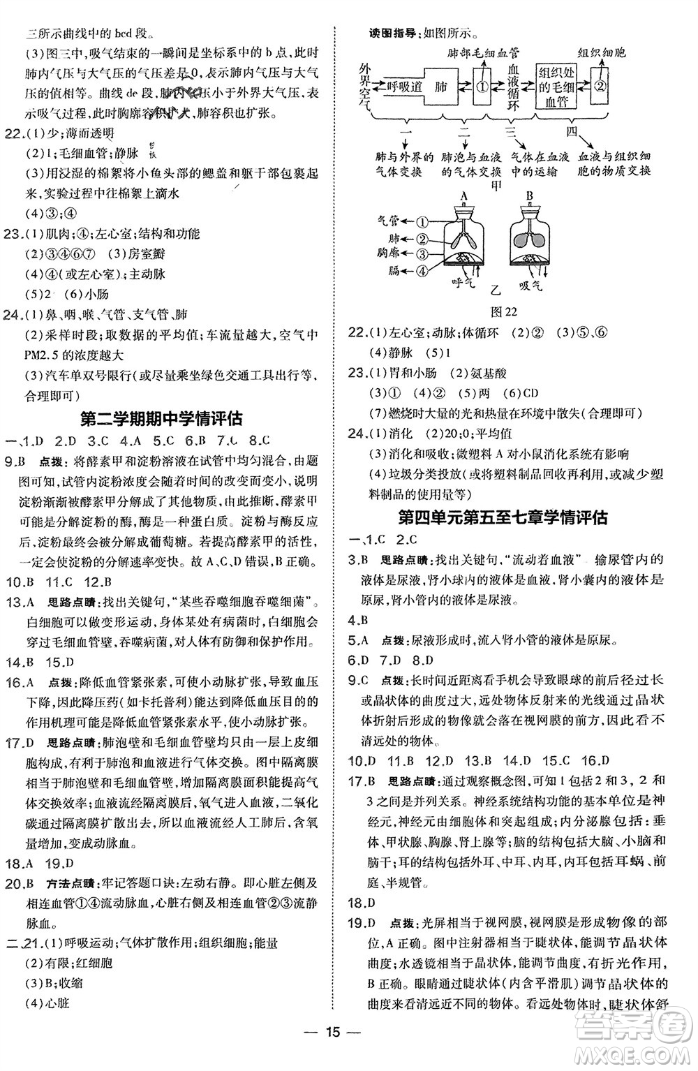 吉林教育出版社2024年春榮德基點(diǎn)撥訓(xùn)練七年級(jí)生物下冊(cè)人教版參考答案
