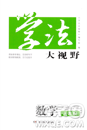 湖南教育出版社2024年春學(xué)法大視野八年級數(shù)學(xué)下冊人教版答案