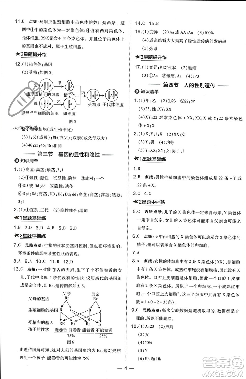 吉林教育出版社2024年春榮德基點(diǎn)撥訓(xùn)練八年級(jí)生物下冊(cè)人教版參考答案
