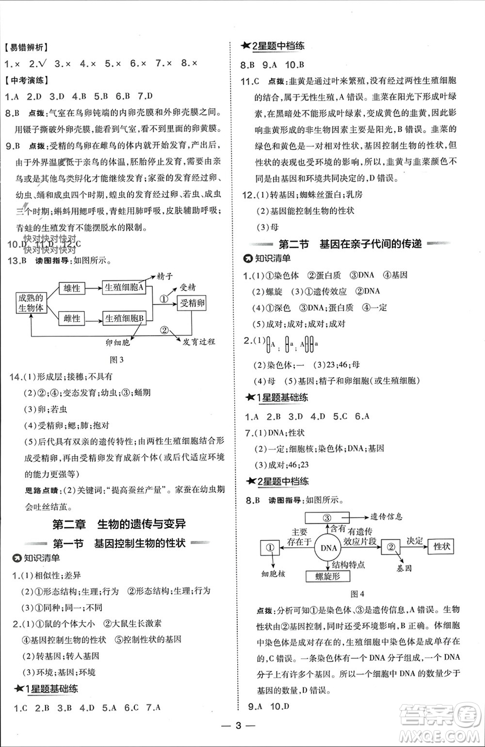 吉林教育出版社2024年春榮德基點(diǎn)撥訓(xùn)練八年級(jí)生物下冊(cè)人教版參考答案