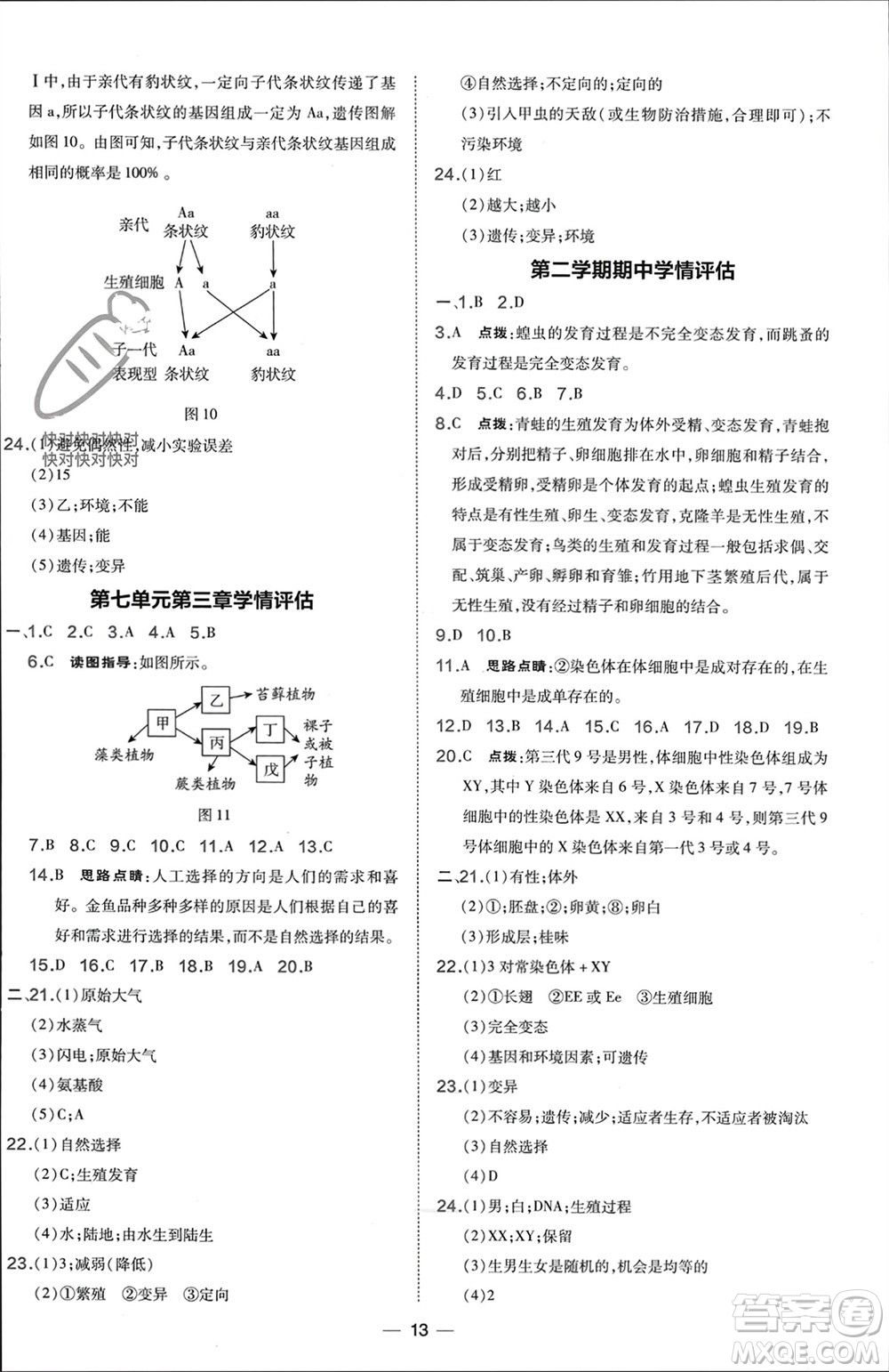 吉林教育出版社2024年春榮德基點(diǎn)撥訓(xùn)練八年級(jí)生物下冊(cè)人教版參考答案