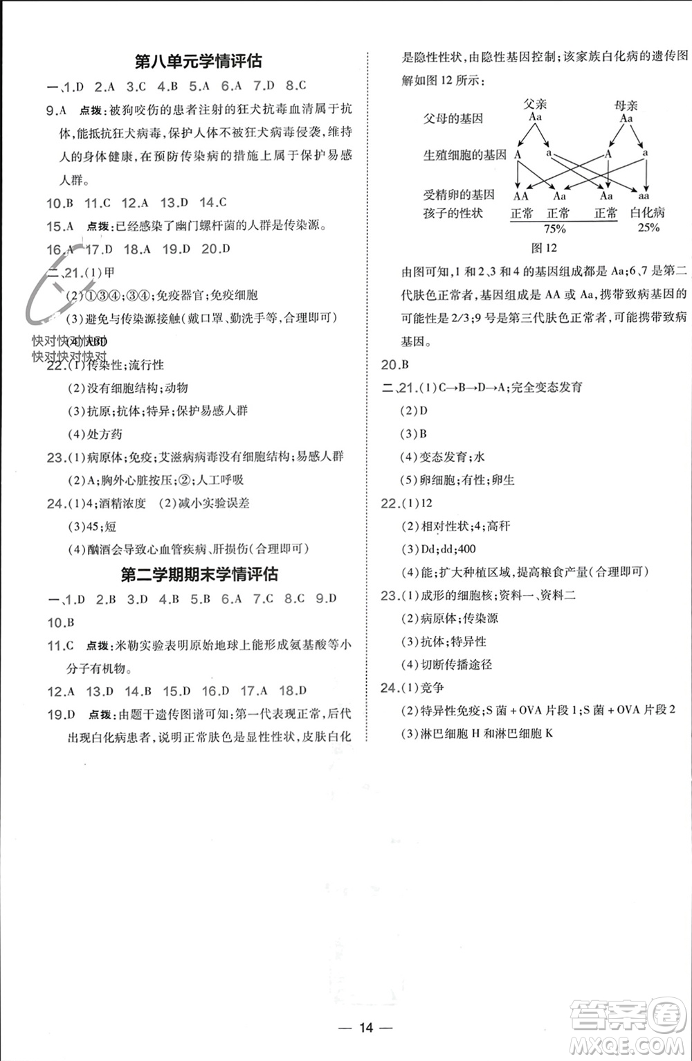 吉林教育出版社2024年春榮德基點(diǎn)撥訓(xùn)練八年級(jí)生物下冊(cè)人教版參考答案