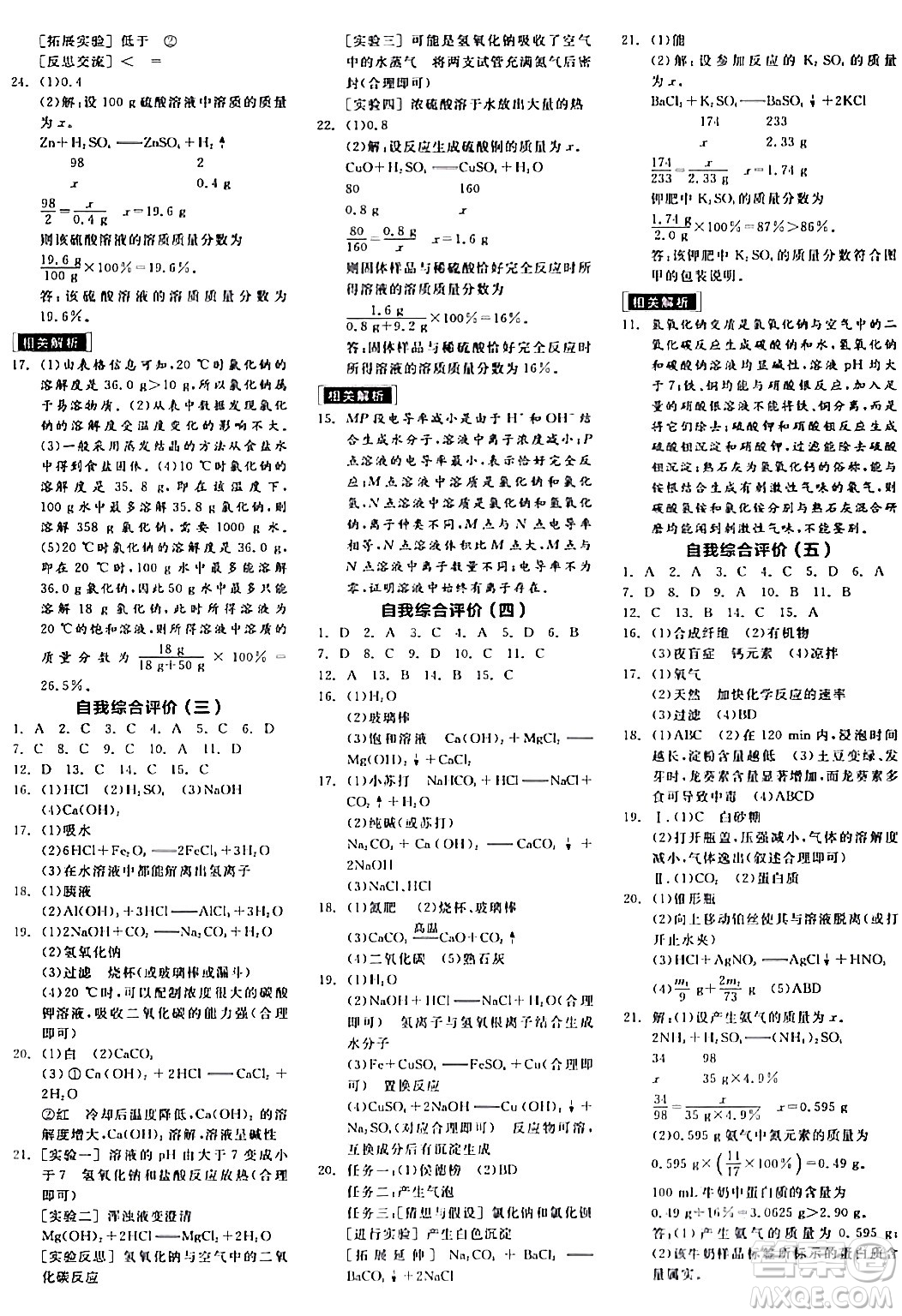 陽光出版社2024年春全品作業(yè)本九年級化學下冊人教版答案