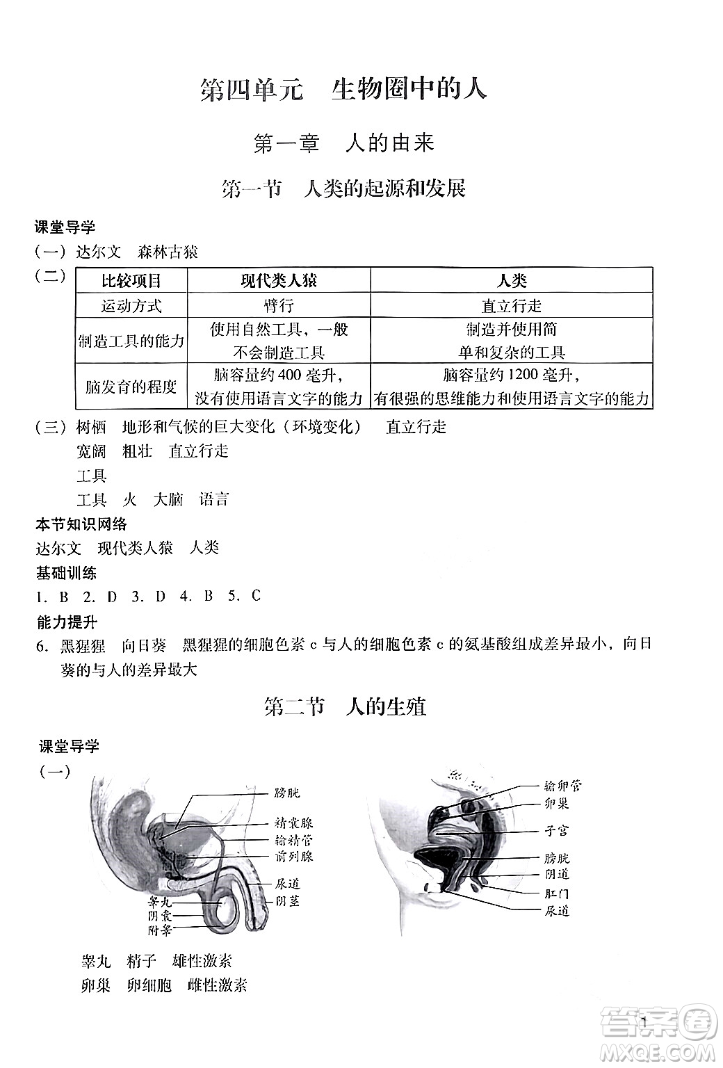 廣州出版社2024年春陽光學(xué)業(yè)評價七年級生物下冊人教版答案