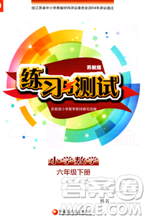 江蘇鳳凰教育出版社2024年春小學數(shù)學練習與測試六年級數(shù)學下冊蘇教版答案