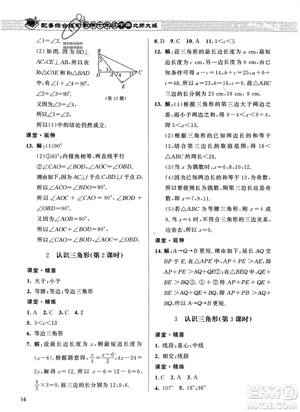 北京師范大學(xué)出版社2024年春配套綜合練習(xí)七年級(jí)數(shù)學(xué)下冊(cè)北師大版參考答案