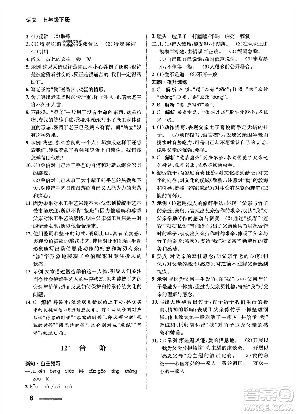 甘肅少年兒童出版社2024年春配套綜合練習(xí)七年級(jí)語(yǔ)文下冊(cè)人教版參考答案