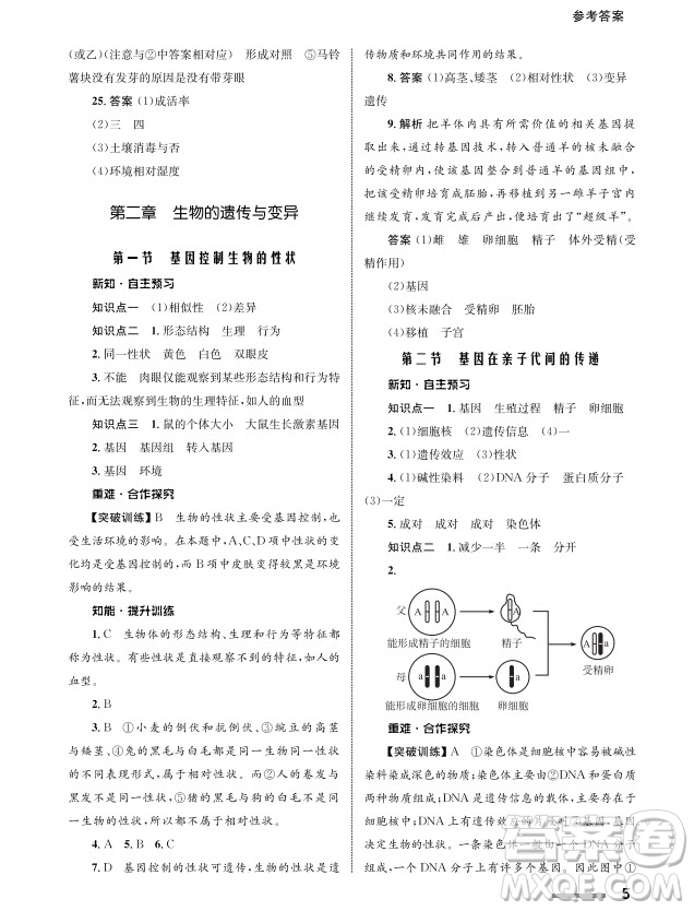 甘肅教育出版社2024年春配套綜合練習(xí)八年級生物下冊人教版參考答案