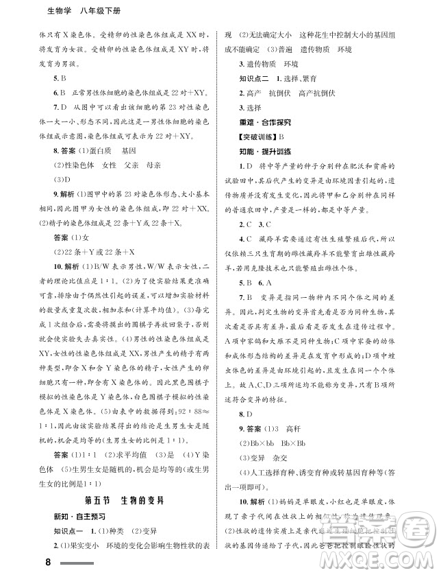 甘肅教育出版社2024年春配套綜合練習(xí)八年級生物下冊人教版參考答案
