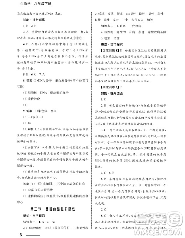 甘肅教育出版社2024年春配套綜合練習(xí)八年級生物下冊人教版參考答案