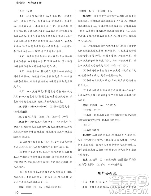 甘肅教育出版社2024年春配套綜合練習(xí)八年級生物下冊人教版參考答案