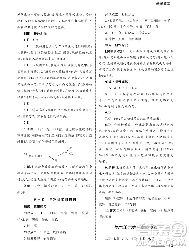 甘肅教育出版社2024年春配套綜合練習(xí)八年級生物下冊人教版參考答案