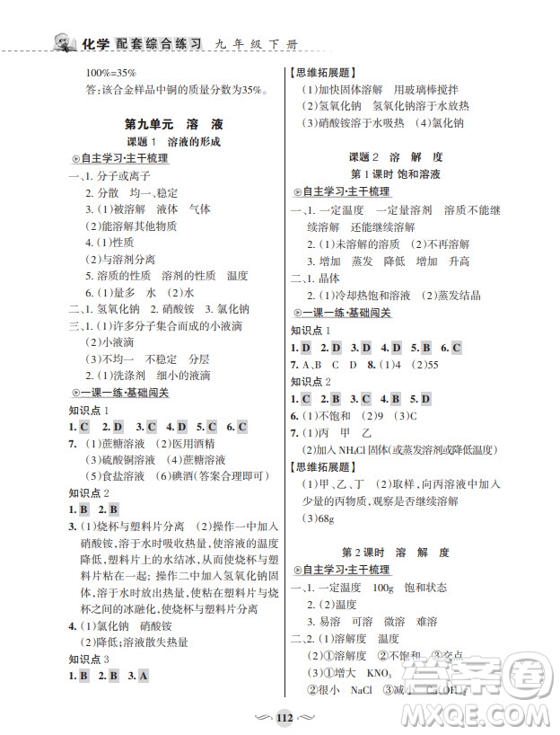 甘肅文化出版社2024年春配套綜合練習(xí)九年級(jí)化學(xué)下冊(cè)人教版參考答案