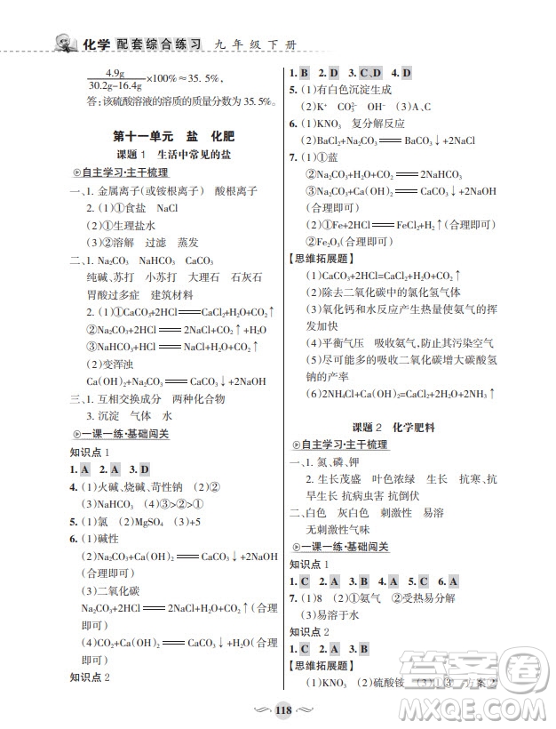甘肅文化出版社2024年春配套綜合練習(xí)九年級(jí)化學(xué)下冊(cè)人教版參考答案